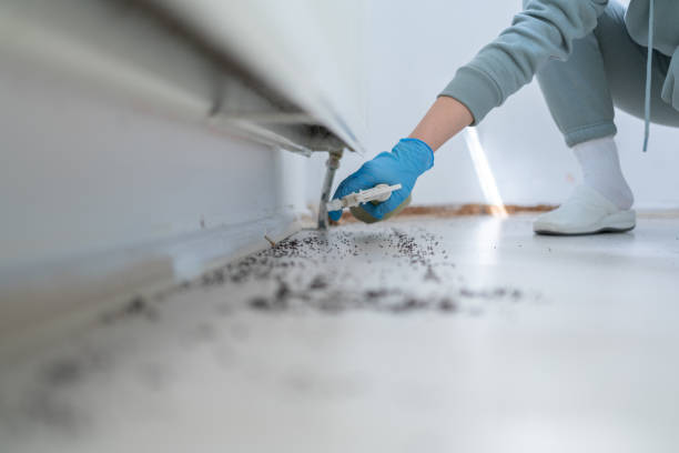 Best Affordable Pest Control Services  in Ranger, TX